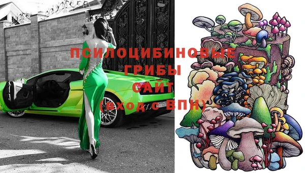 бошки Абинск