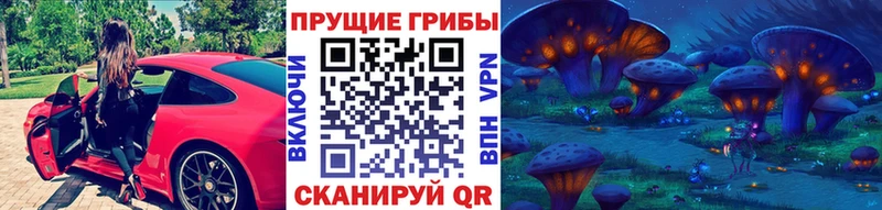 Псилоцибиновые грибы мицелий дарнет шоп Янаул