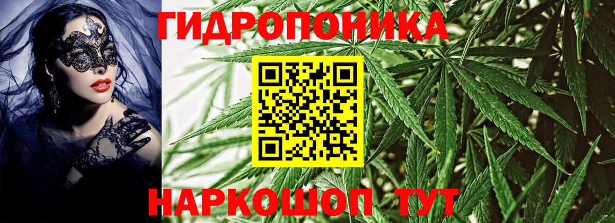 Канабис Bruce Banner  Вход с VPN  Конопля тримм  Бошки марихуана AK-47  Янаул 